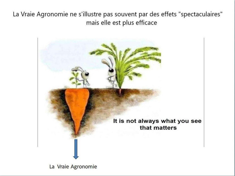 Fichier:Fertilisation azotée - objectif 1kg d'azote par quintal, Lionel Mesnage.pdf