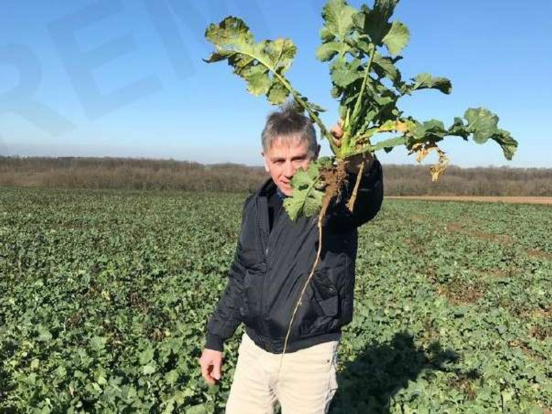 Fichier:Fertilisation azotée - objectif 1kg d'azote par quintal, Lionel Mesnage.pdf