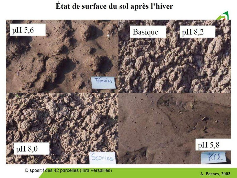Fichier:Fertilisation azotée - objectif 1kg d'azote par quintal, Lionel Mesnage.pdf