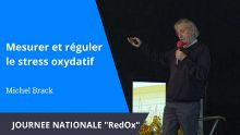 Thumbnail youtube Os1KQL LOXA.jpg