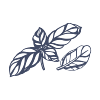 Basilic.png