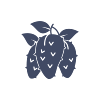 Corossol.png
