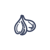 Figue.png