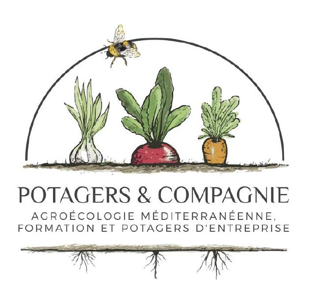 Fichier:Logo p etcie.jpg