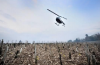 Hélicoptère vigne.png