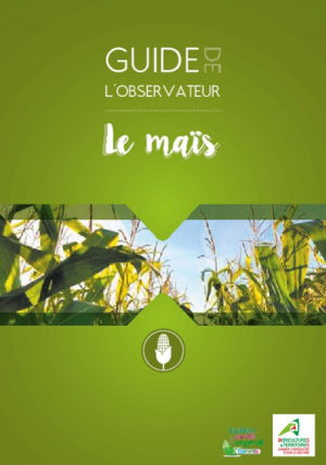 Image Guide observateur Ma s.png