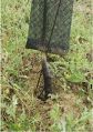 Plant mal planté : le collet et les racines ne sont pas dans le sol. Le rebord de la gaine est plié mais ce pli devrait être en haut, et non vers le sol. Le piquet en métal fin ne permet pas le maintien de la gaine de protection et le plant est non paillé.