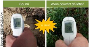 SDCV Vivant Couvert Temperatures.jpg