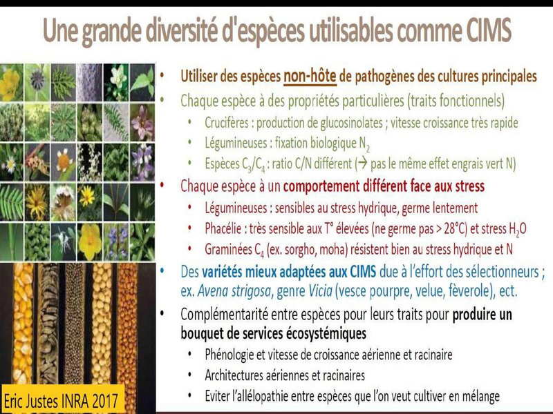 Fichier:Couverts végétaux - mythes et réalités, Lionel Mesnage.pdf