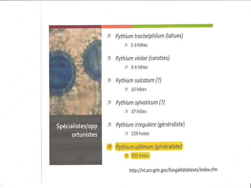 Fichier:Couverts végétaux - mythes et réalités, Lionel Mesnage.pdf