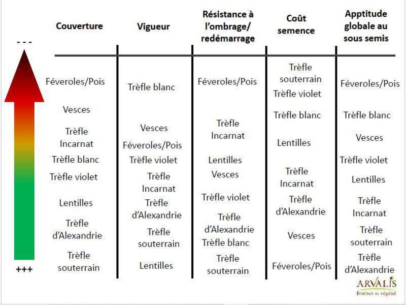 Fichier:Couverts végétaux - mythes et réalités, Lionel Mesnage.pdf