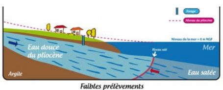 Position du biseau salé (limite entre l'eau douce et l'eau salée) dans le cas de faibles prélèvements.