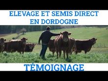 Thumbnail youtube J9X74xHoEFk.jpg