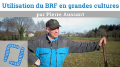 Vignette pour la version du 26 février 2021 à 18:22