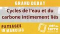 Vignette pour la version du 26 février 2021 à 18:14