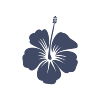 Hibiscus.png