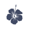 Fichier:Hibiscus.png
