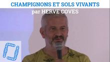 Thumbnail youtube -8GeCIQIJE4.jpg