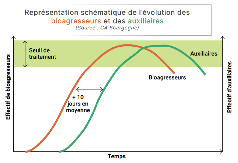 Fichier:Romain Planes EvolutionAuxiliairesRavageurs.png