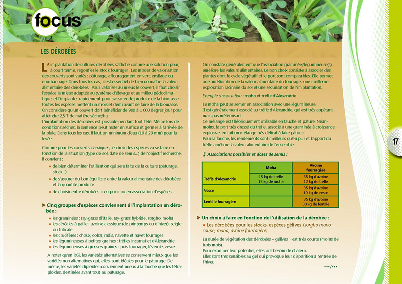 Fichier:Guide couvert vegetaux janv 2017-1.pdf