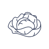 Laitue.png