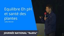 Thumbnail youtube Hpl7xp04Qz4.jpg