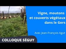 Thumbnail youtube 7BlJTZn6g9c.jpg