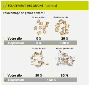 Eclatement des grains.png