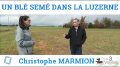 Vignette pour la version du 26 février 2021 à 18:00