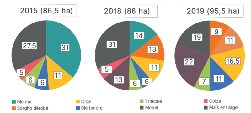 Fichier:Brice Bousquet Assolement.png