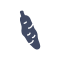 Fichier:Manioc.png