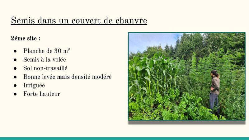 Fichier:Bilan de fin d'année 2023 MSV.pdf