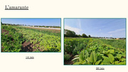 page suivante →