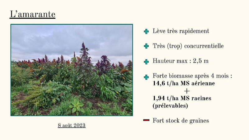 Fichier:Bilan de fin d'année 2023 MSV.pdf