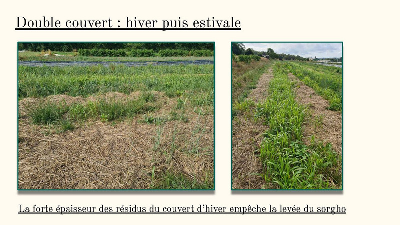 Fichier:Bilan de fin d'année 2023 MSV.pdf
