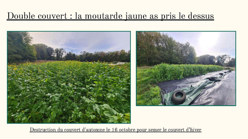 Fichier:Bilan de fin d'année 2023 MSV.pdf