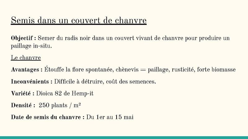 Fichier:Bilan de fin d'année 2023 MSV.pdf