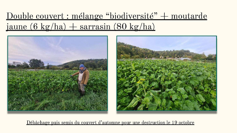 Fichier:Bilan de fin d'année 2023 MSV.pdf