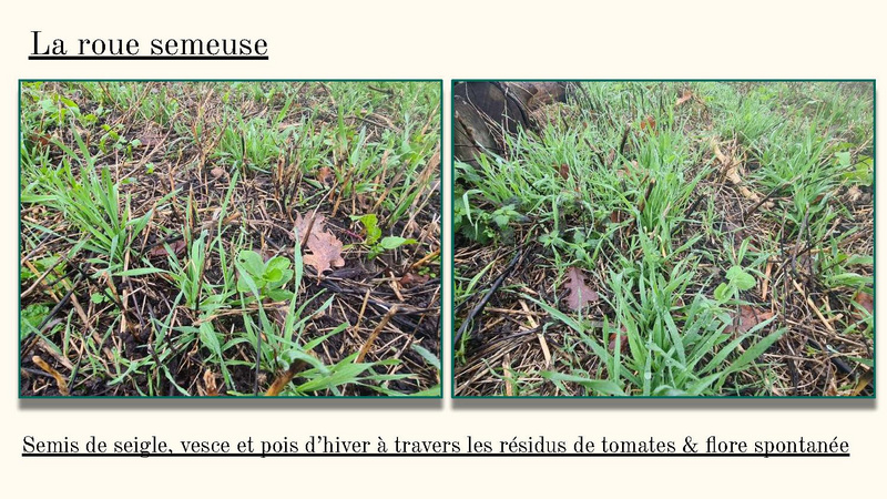 Fichier:Bilan de fin d'année 2023 MSV.pdf