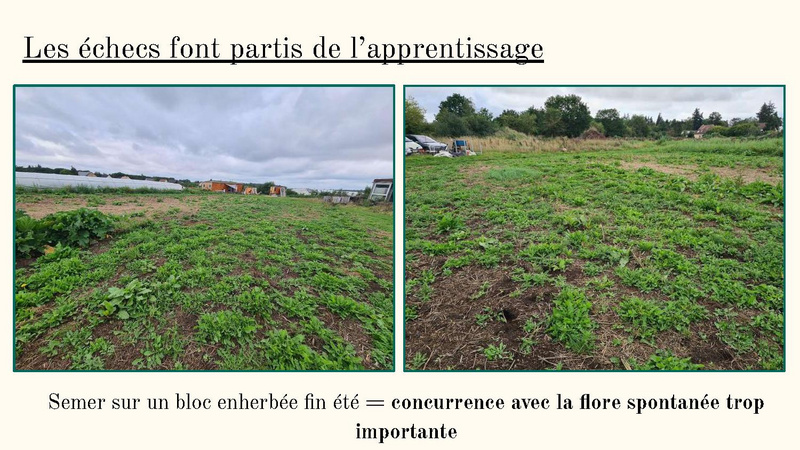 Fichier:Bilan de fin d'année 2023 MSV.pdf