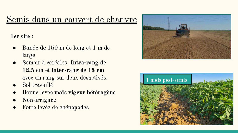 Fichier:Bilan de fin d'année 2023 MSV.pdf
