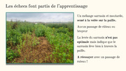 page suivante →