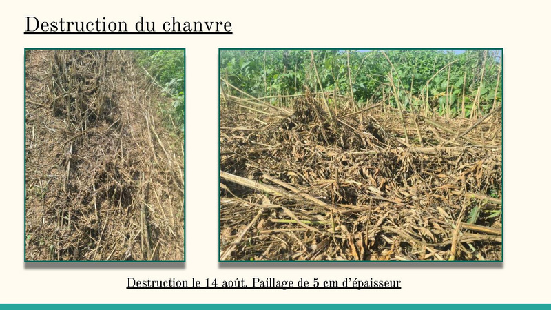 Fichier:Bilan de fin d'année 2023 MSV.pdf