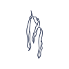 Haricot.png
