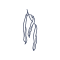 Fichier:Haricot.png