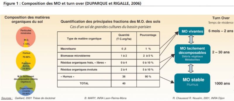 Fichier:Matiere organique.jpg