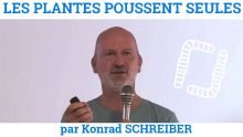 Thumbnail youtube MO2RhBeGcQw.jpg