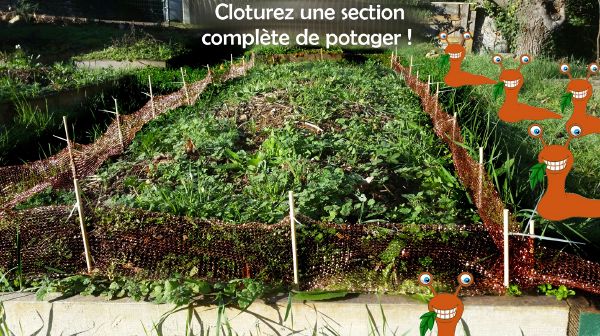 cuivre anti limace