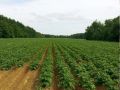 Vignette pour la version du 7 novembre 2019 à 15:36