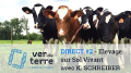 Vignette pour la version du 26 février 2021 à 18:12
